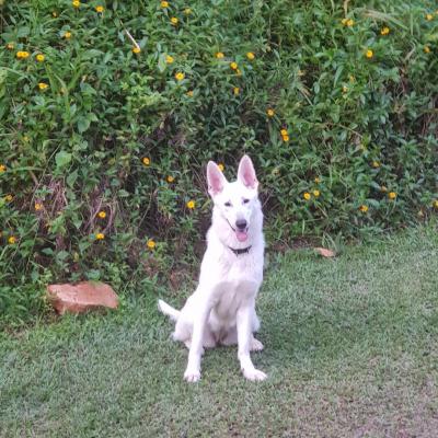 Catégorie par défaut