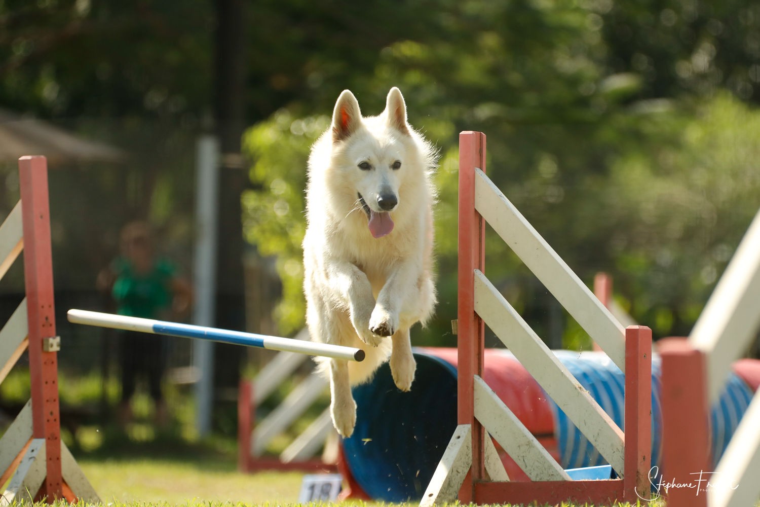 saut et barre