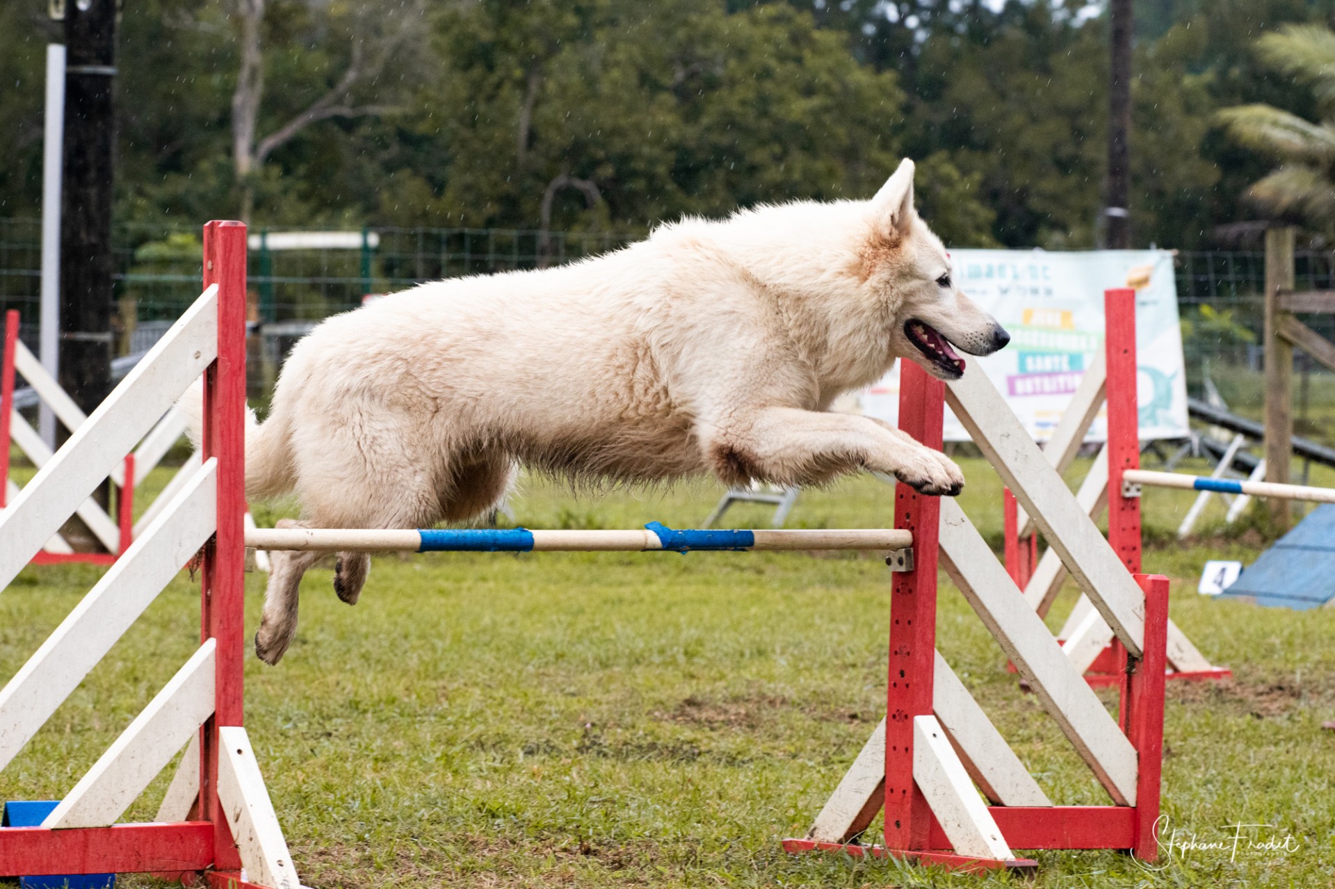 saut d'agility