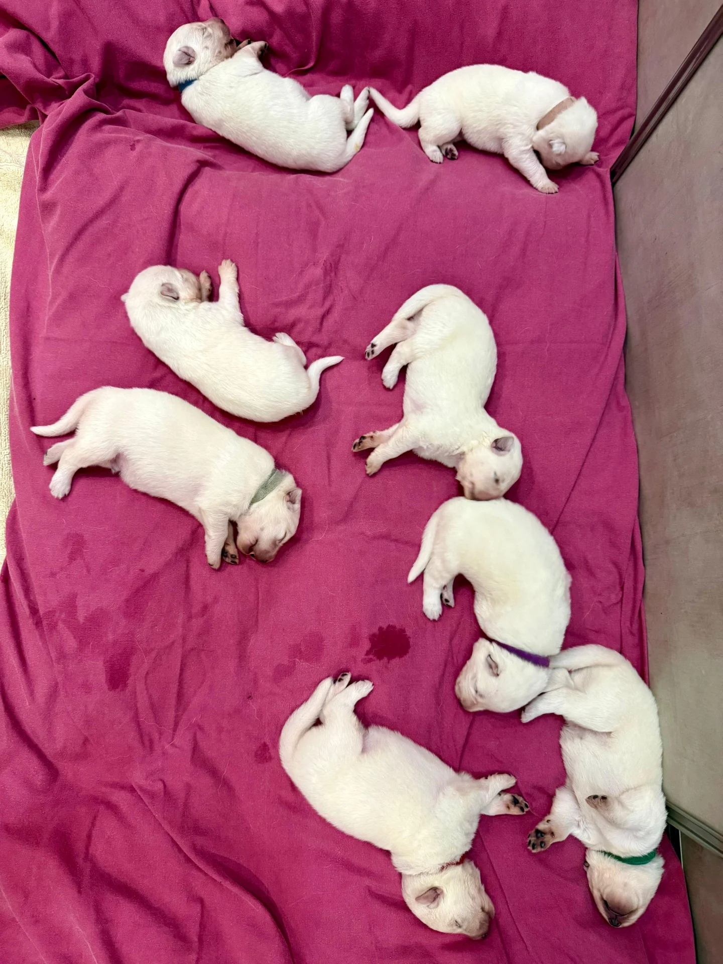 Whatsapp image 2026 02 18 at 06 42 46