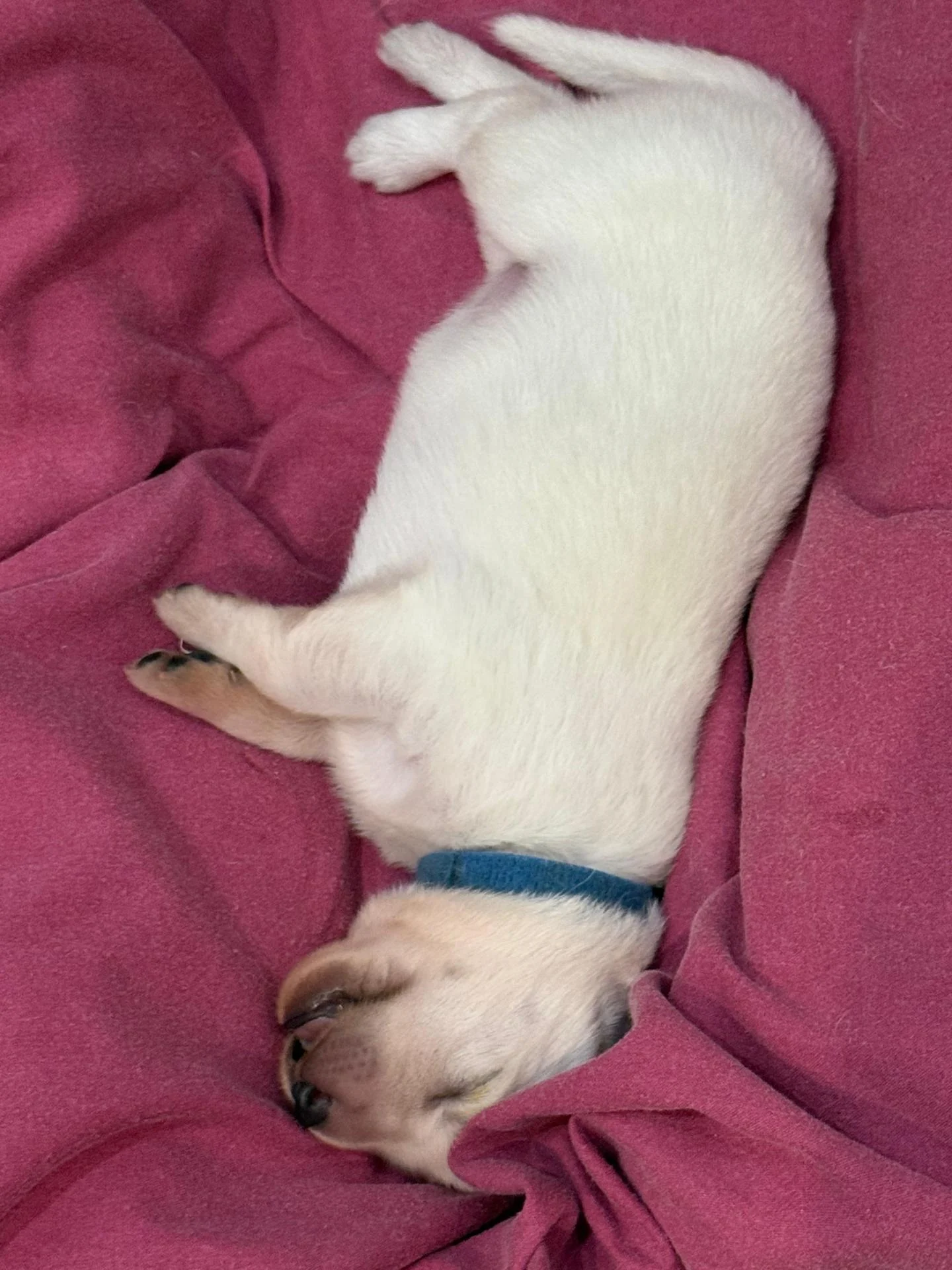 Whatsapp image 2026 02 18 at 10 28 20