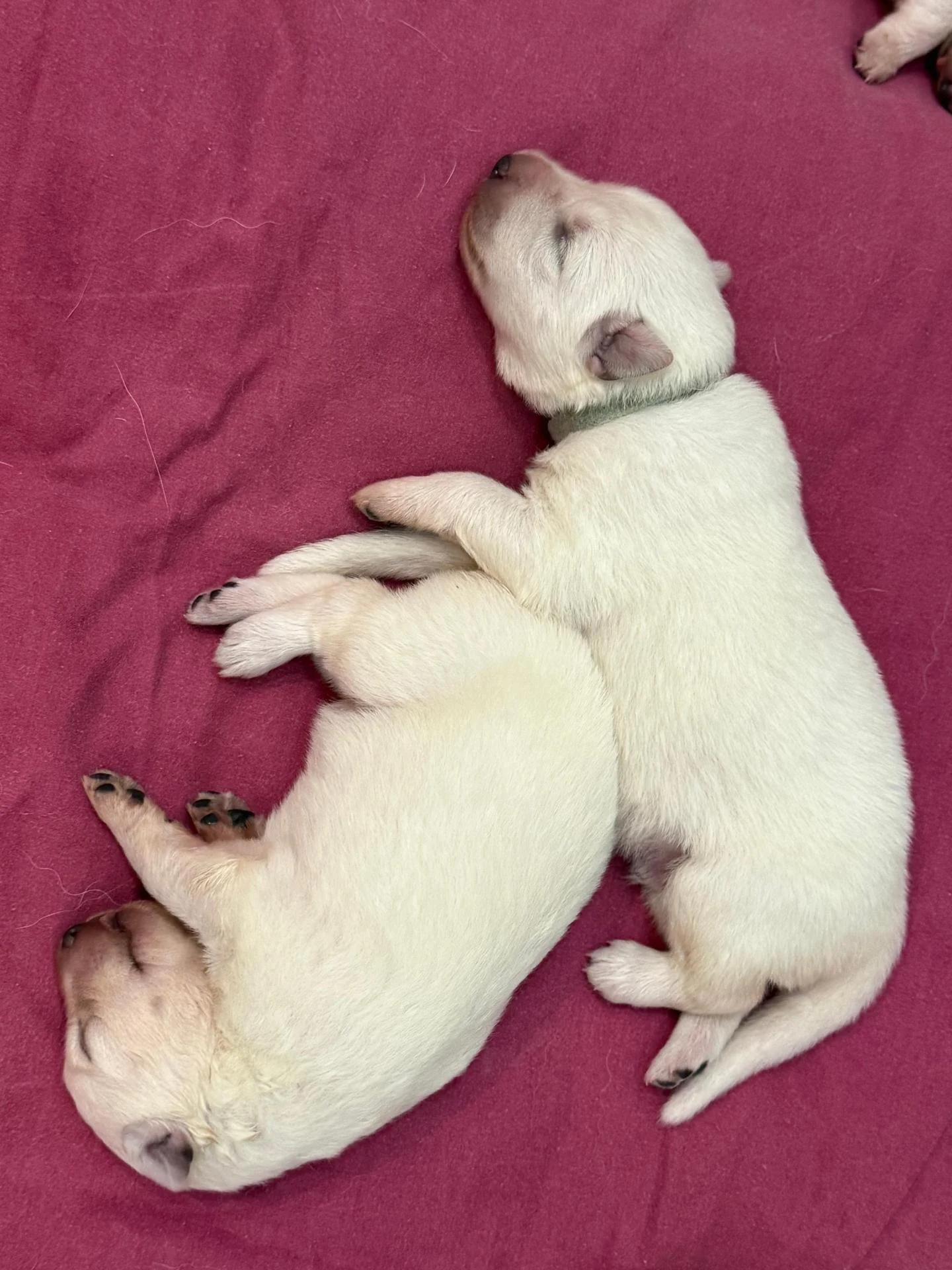 Whatsapp image 2026 02 18 at 10 28 32