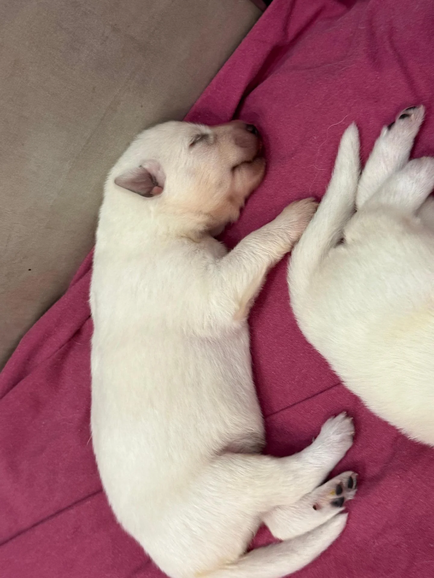 Whatsapp image 2026 02 18 at 10 28 45