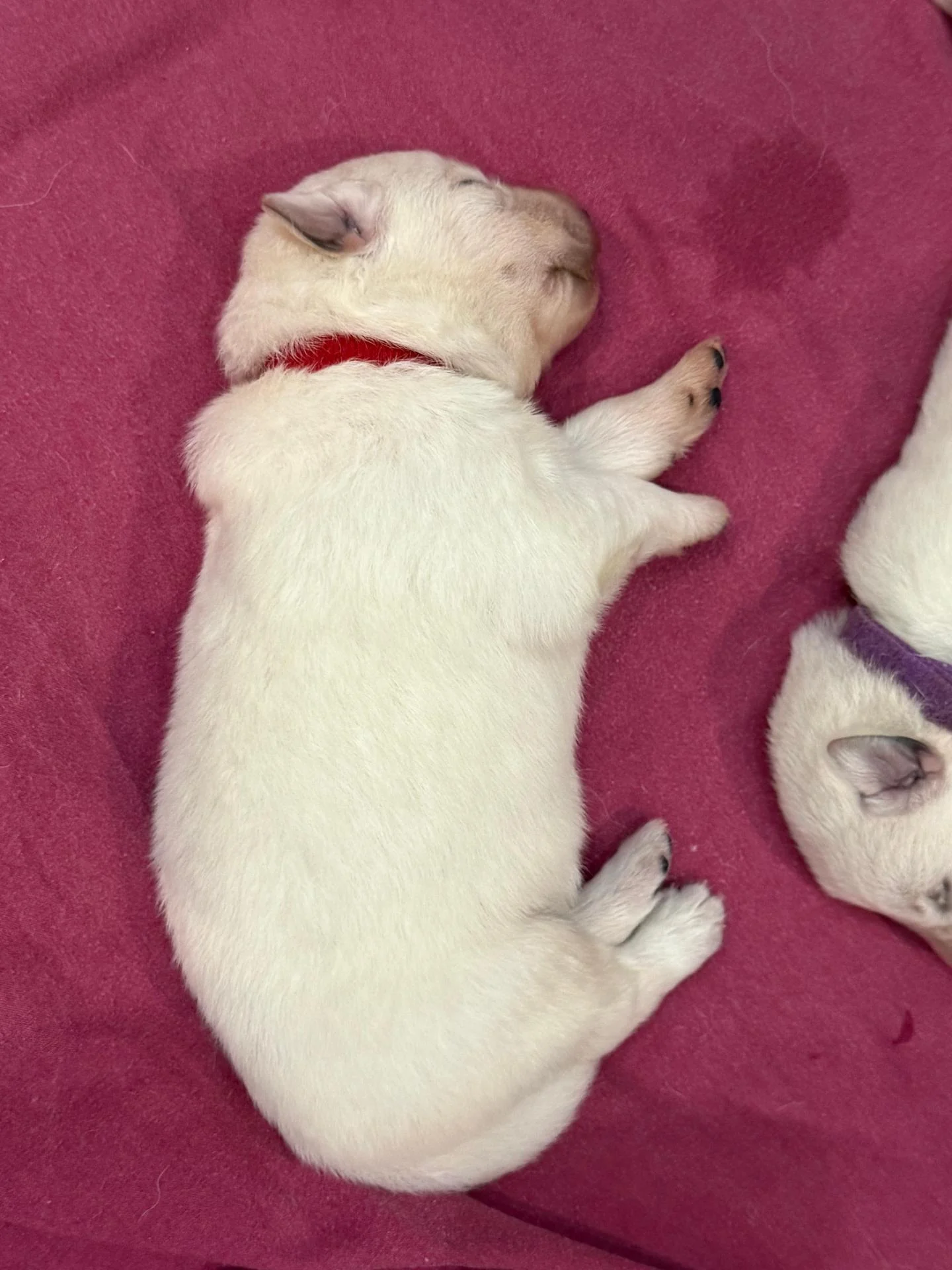 Whatsapp image 2026 02 18 at 10 28 54