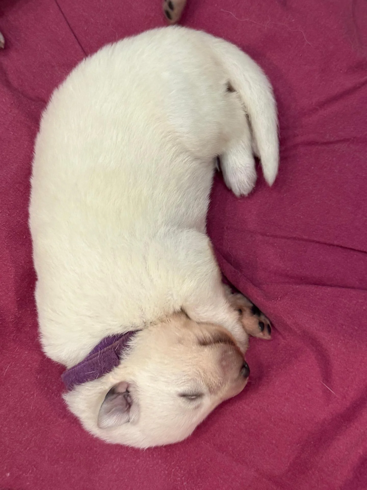 Whatsapp image 2026 02 18 at 10 28 58