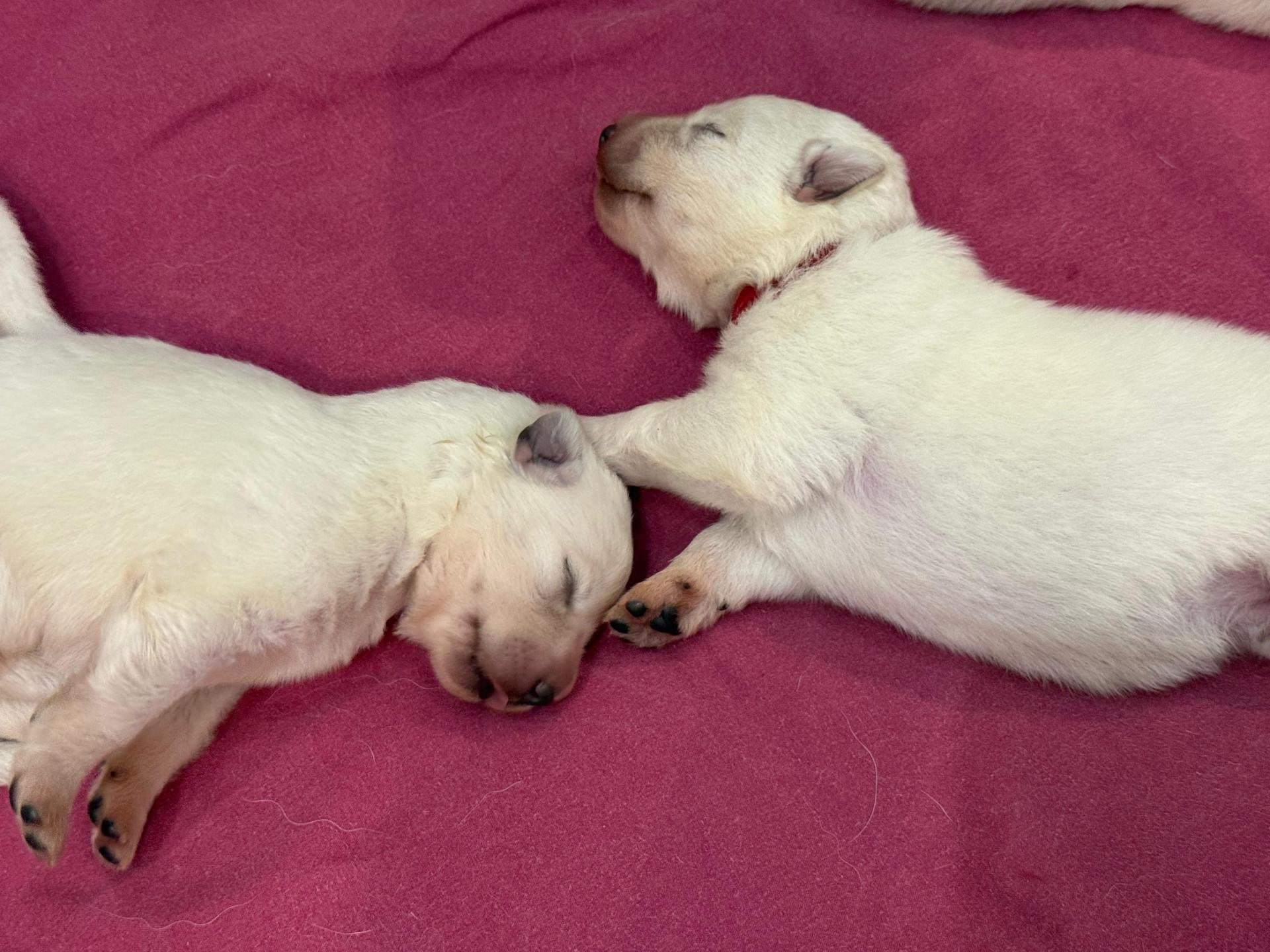 Whatsapp image 2026 02 18 at 10 30 45