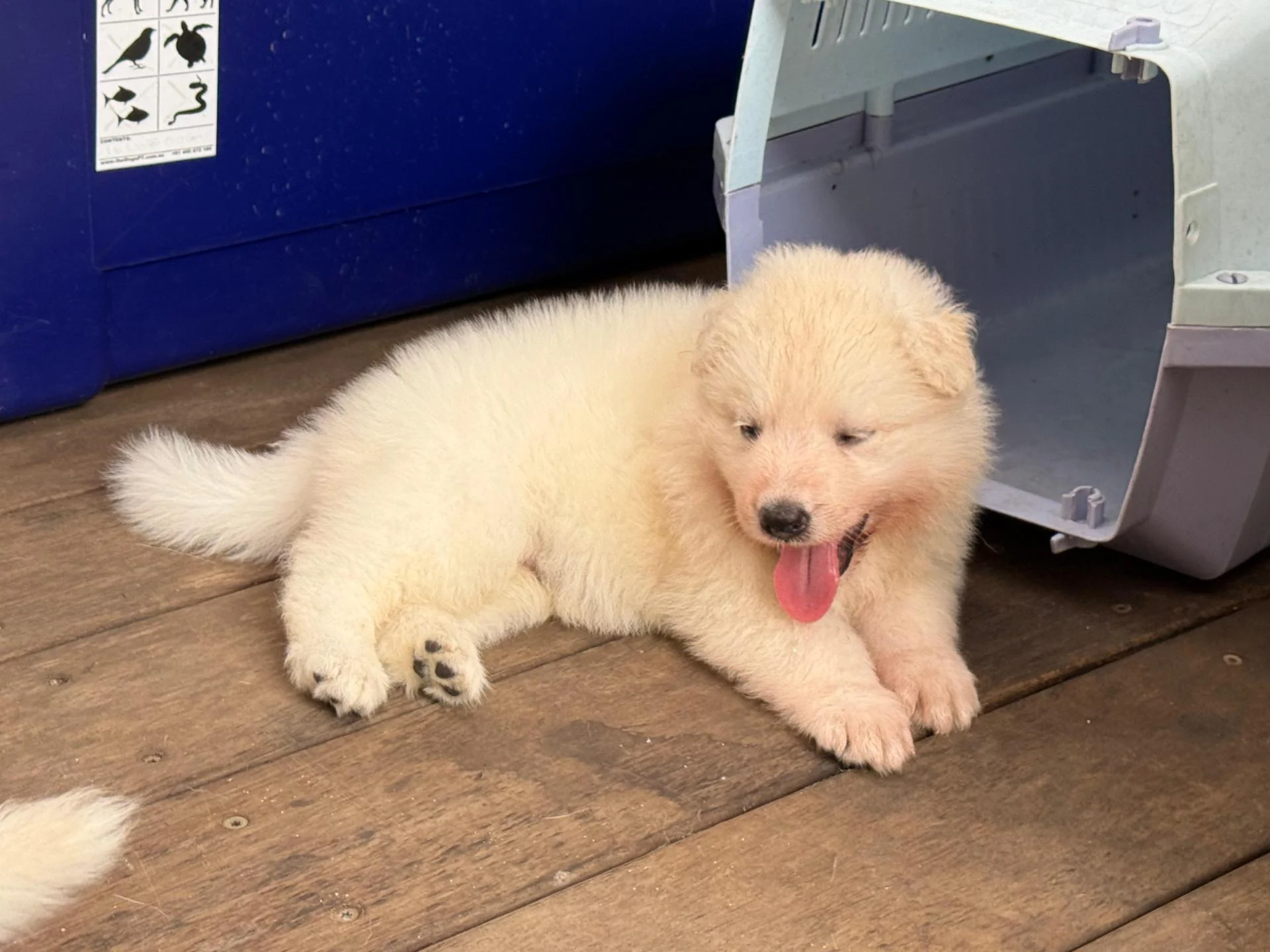 Whatsapp image 2026 03 14 at 14 22 47