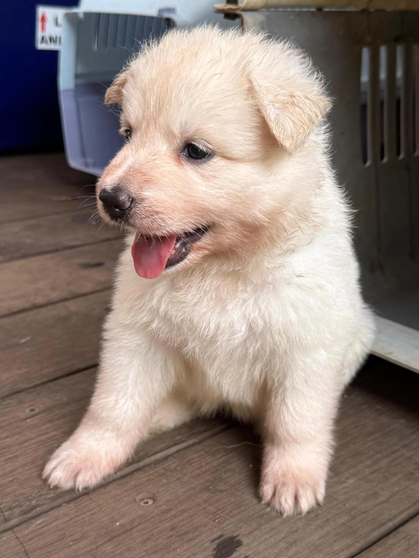 Whatsapp image 2026 03 14 at 14 24 08