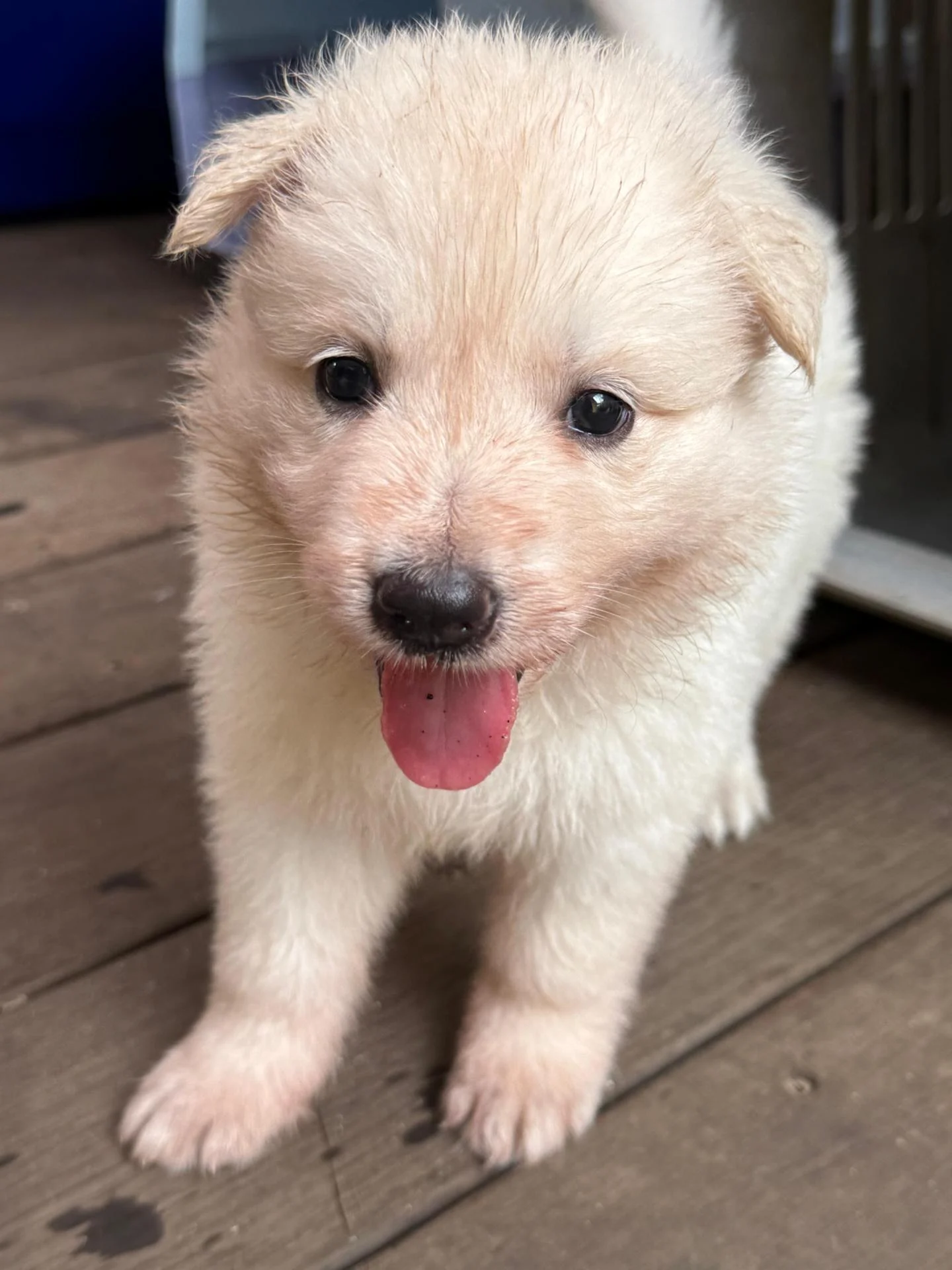 Whatsapp image 2026 03 14 at 14 24 19