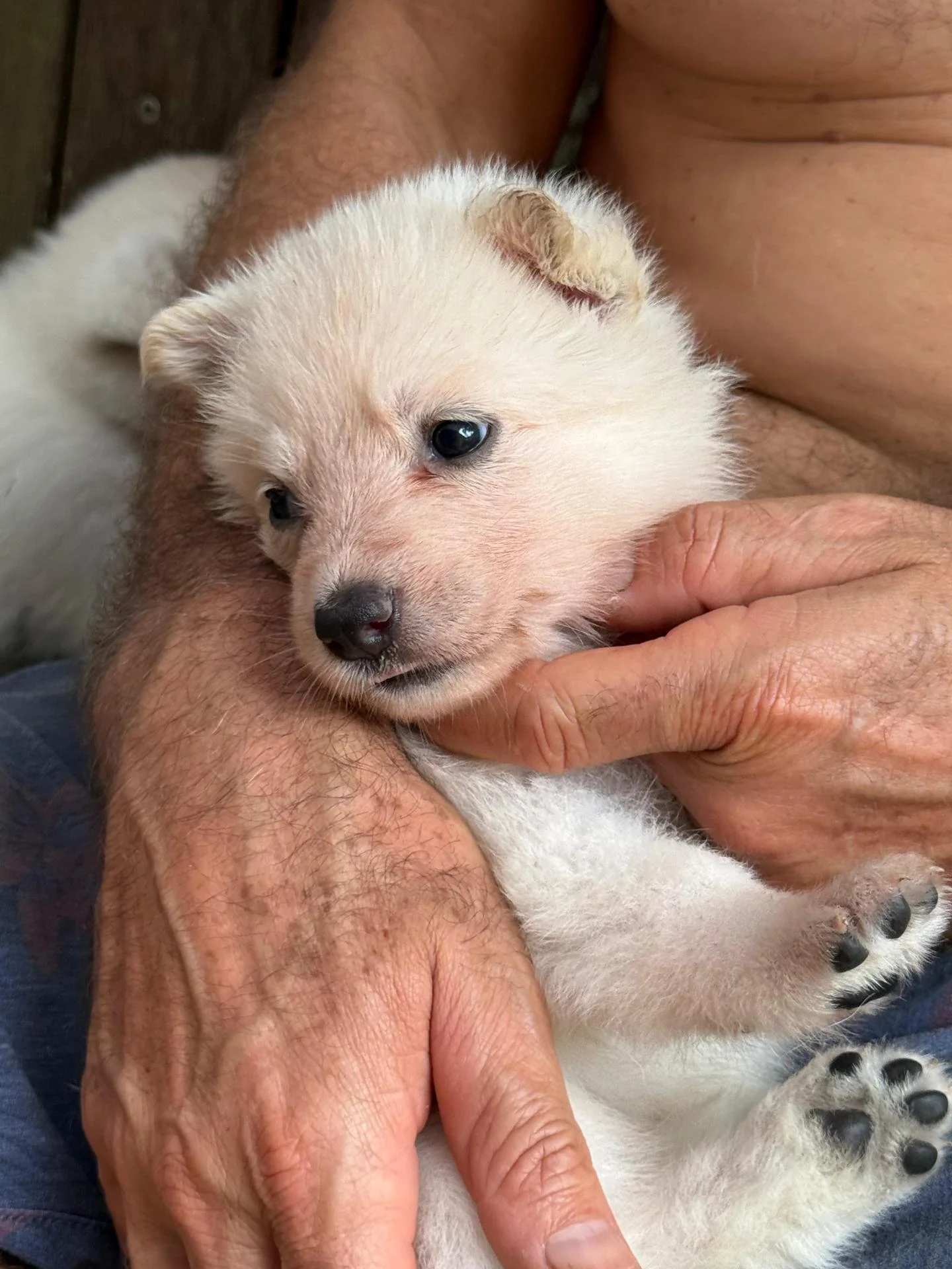 Whatsapp image 2026 03 14 at 14 25 05