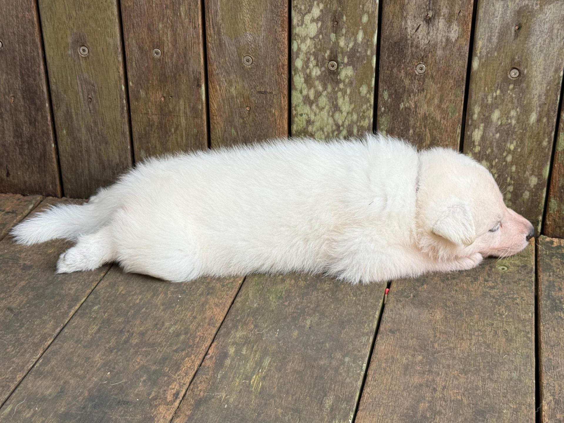 Whatsapp image 2026 03 14 at 14 25 36