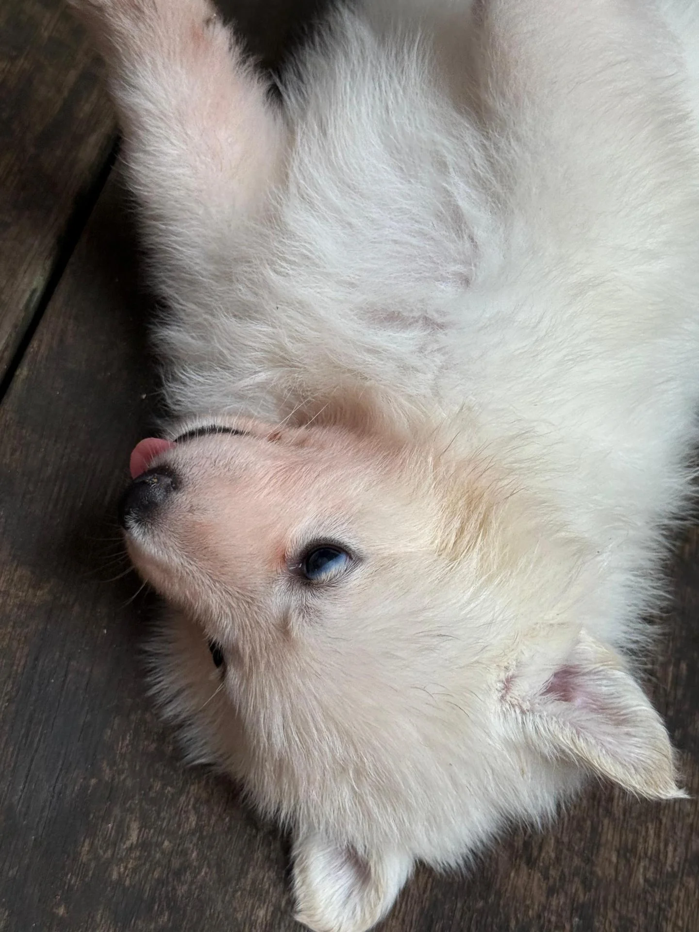 Whatsapp image 2026 03 14 at 14 30 32