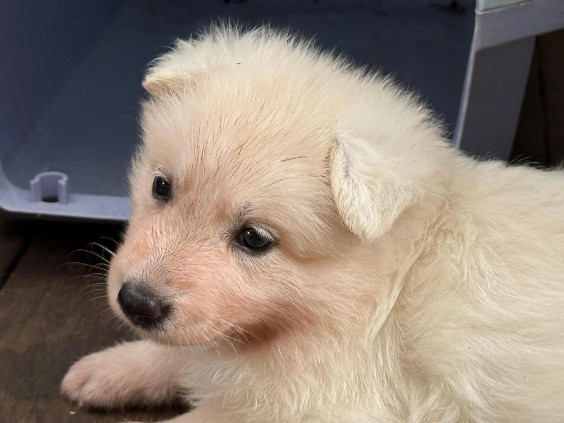 Whatsapp image 2026 03 14 at 14 34 01