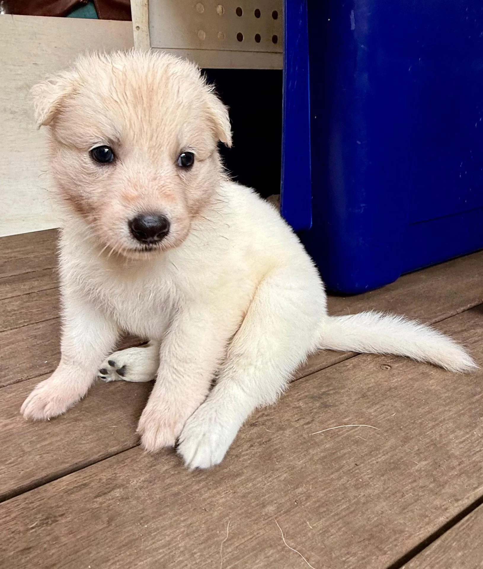 Whatsapp image 2026 03 14 at 14 37 48