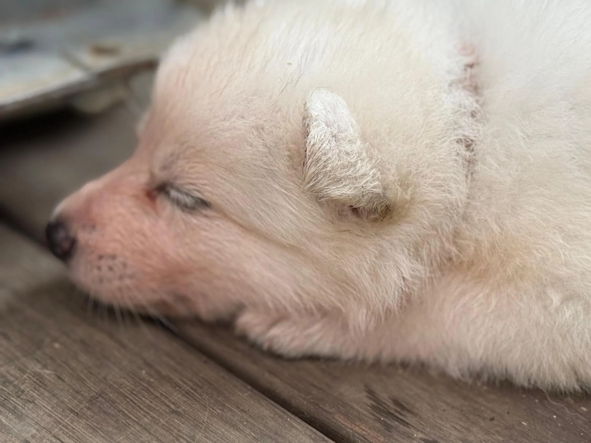 Whatsapp image 2026 03 14 at 14 38 43