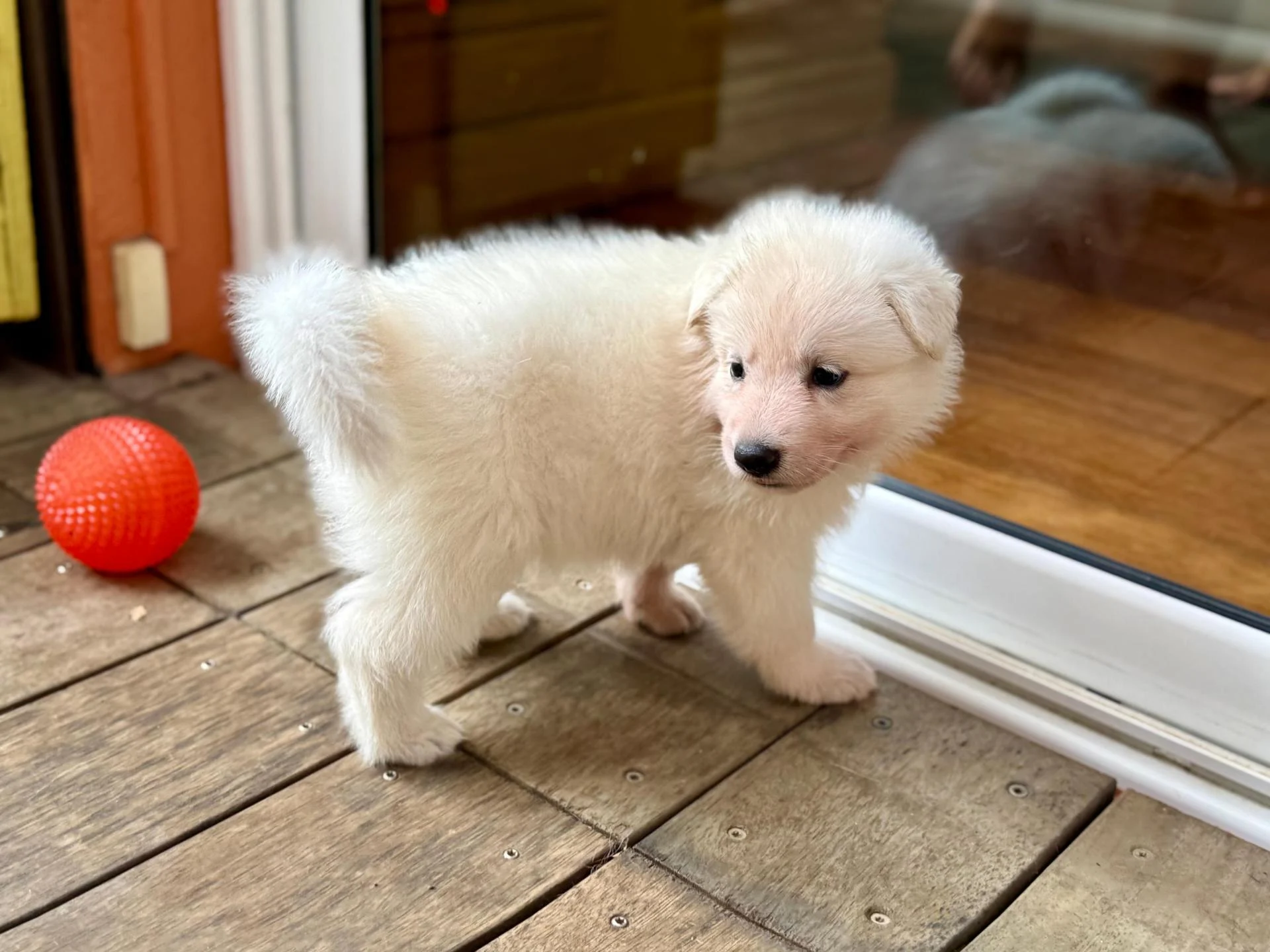 Whatsapp image 2026 03 14 at 14 39 25