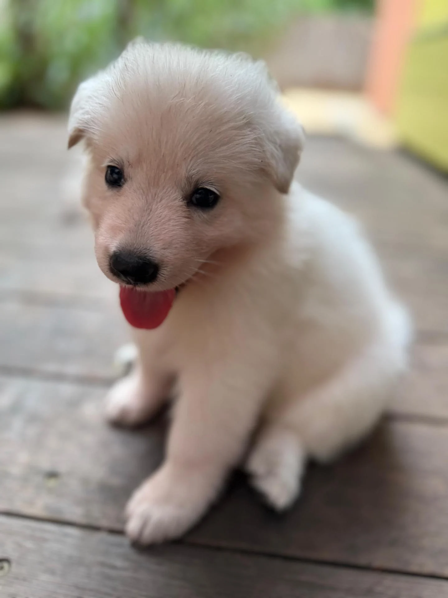 Whatsapp image 2026 03 14 at 14 41 45