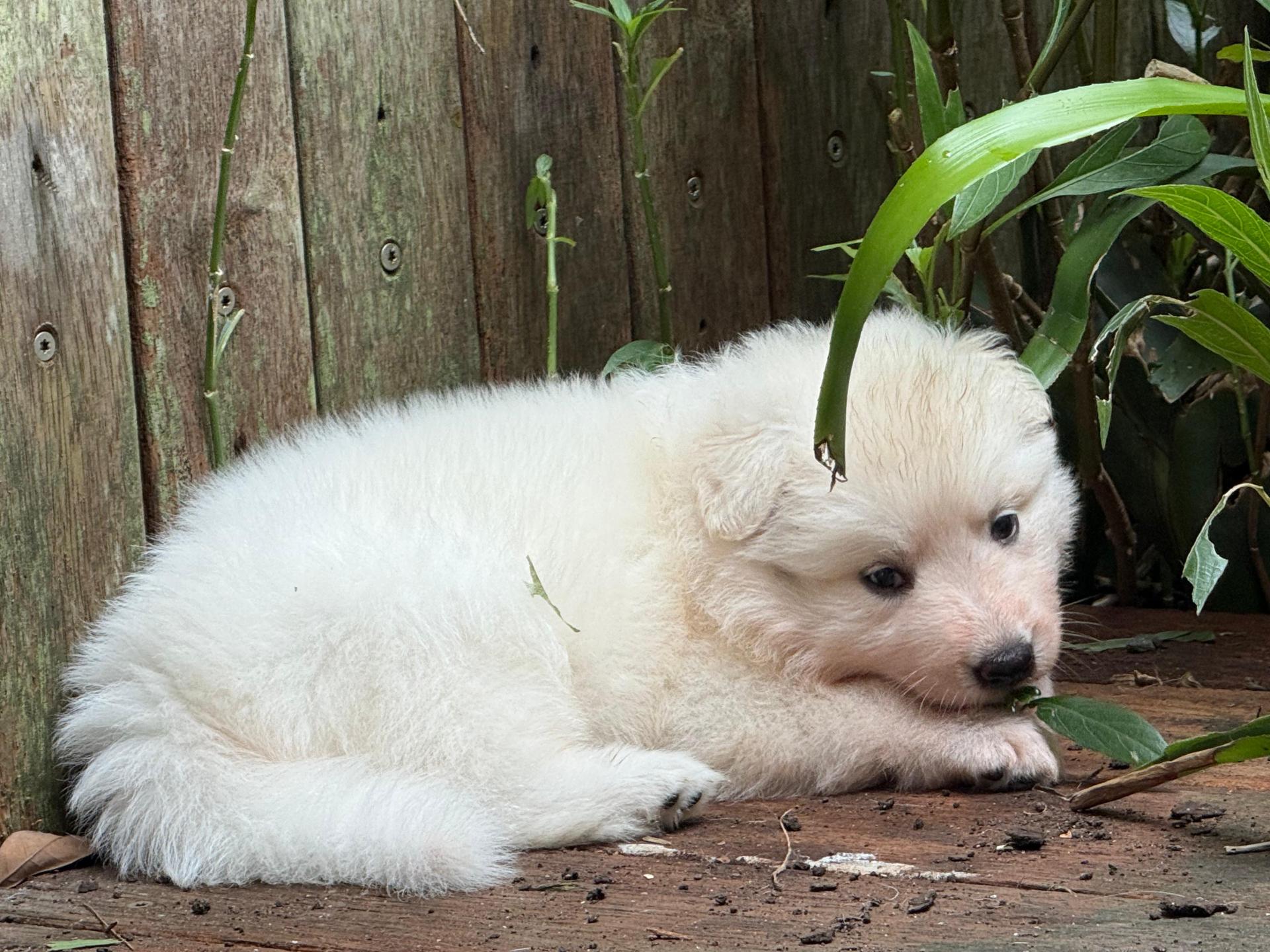 Whatsapp image 2026 03 14 at 14 45 06