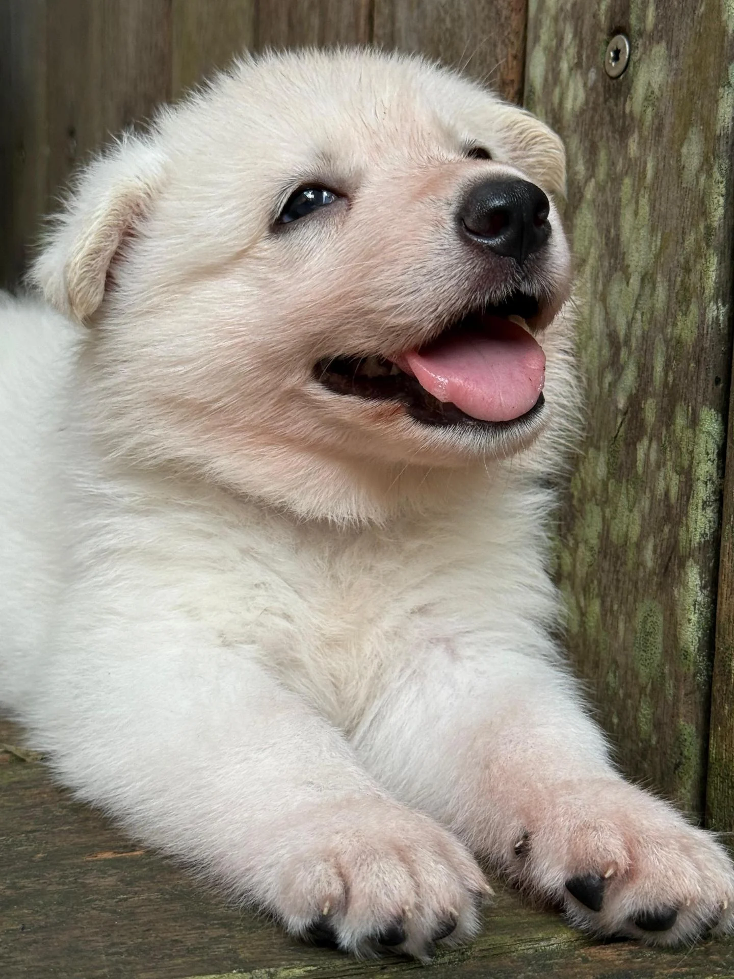 Whatsapp image 2026 03 14 at 14 54 23