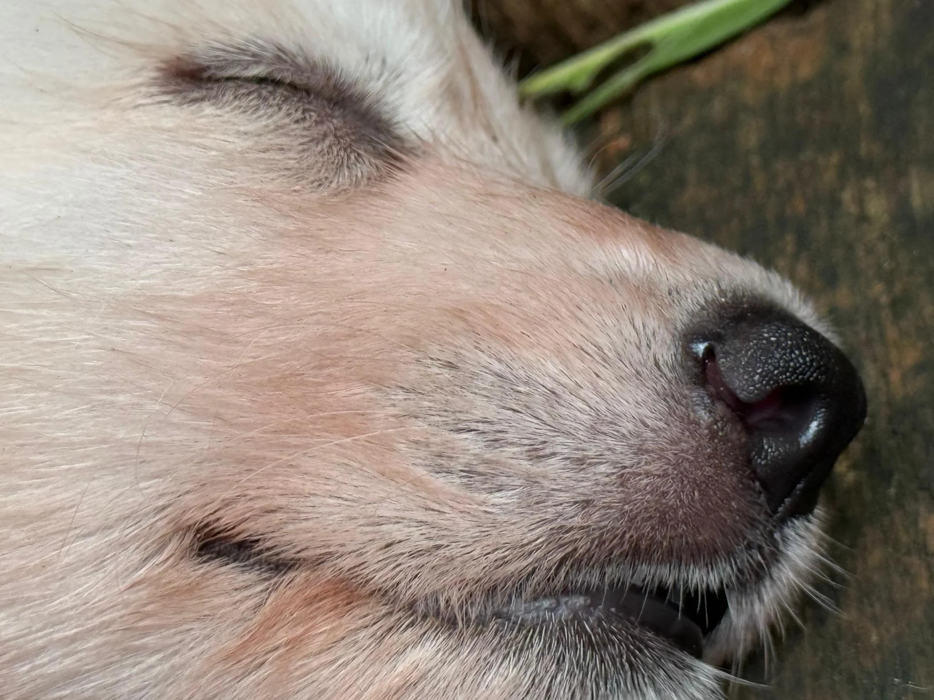 Whatsapp image 2026 03 14 at 14 54 39